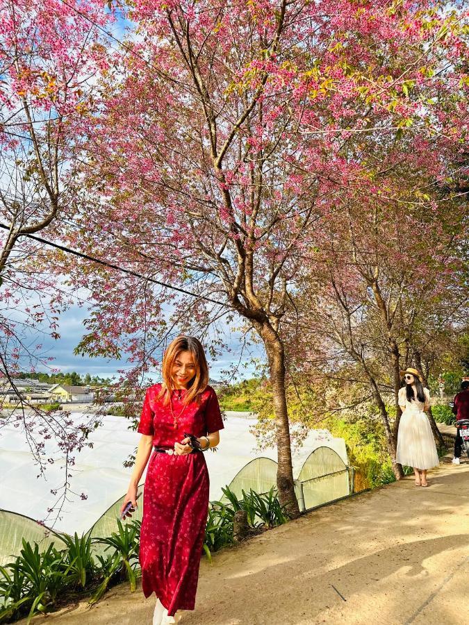Dalat Stream Hotel-Khach San Dep ダラット エクステリア 写真